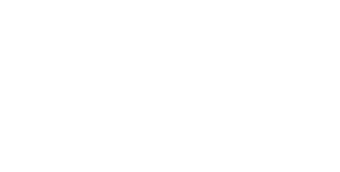 Terra Brokers Logo
